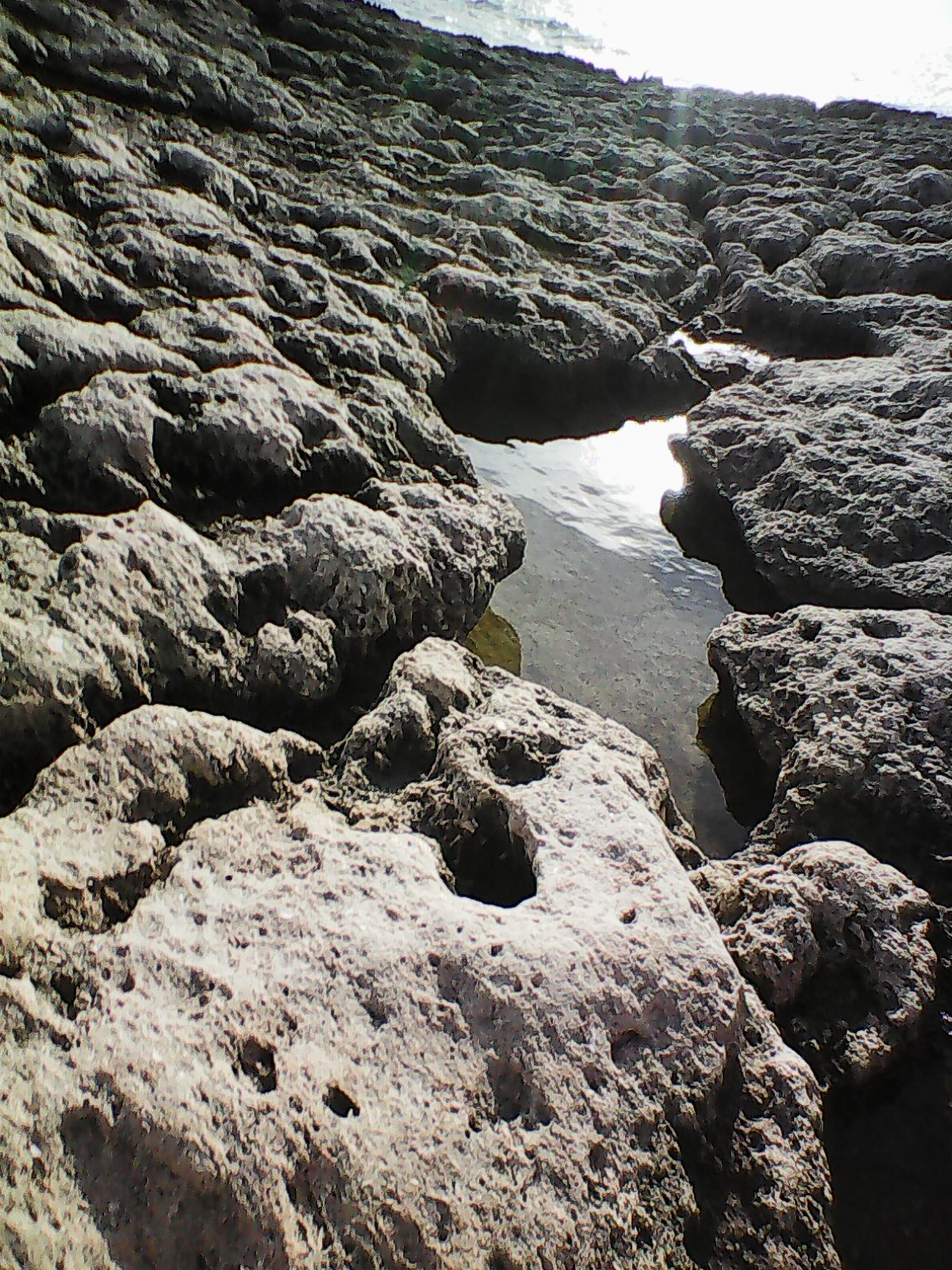 Terre Mer 2